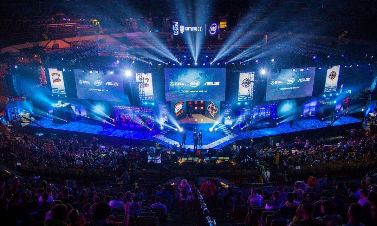 球迷的支持 球迷的支持