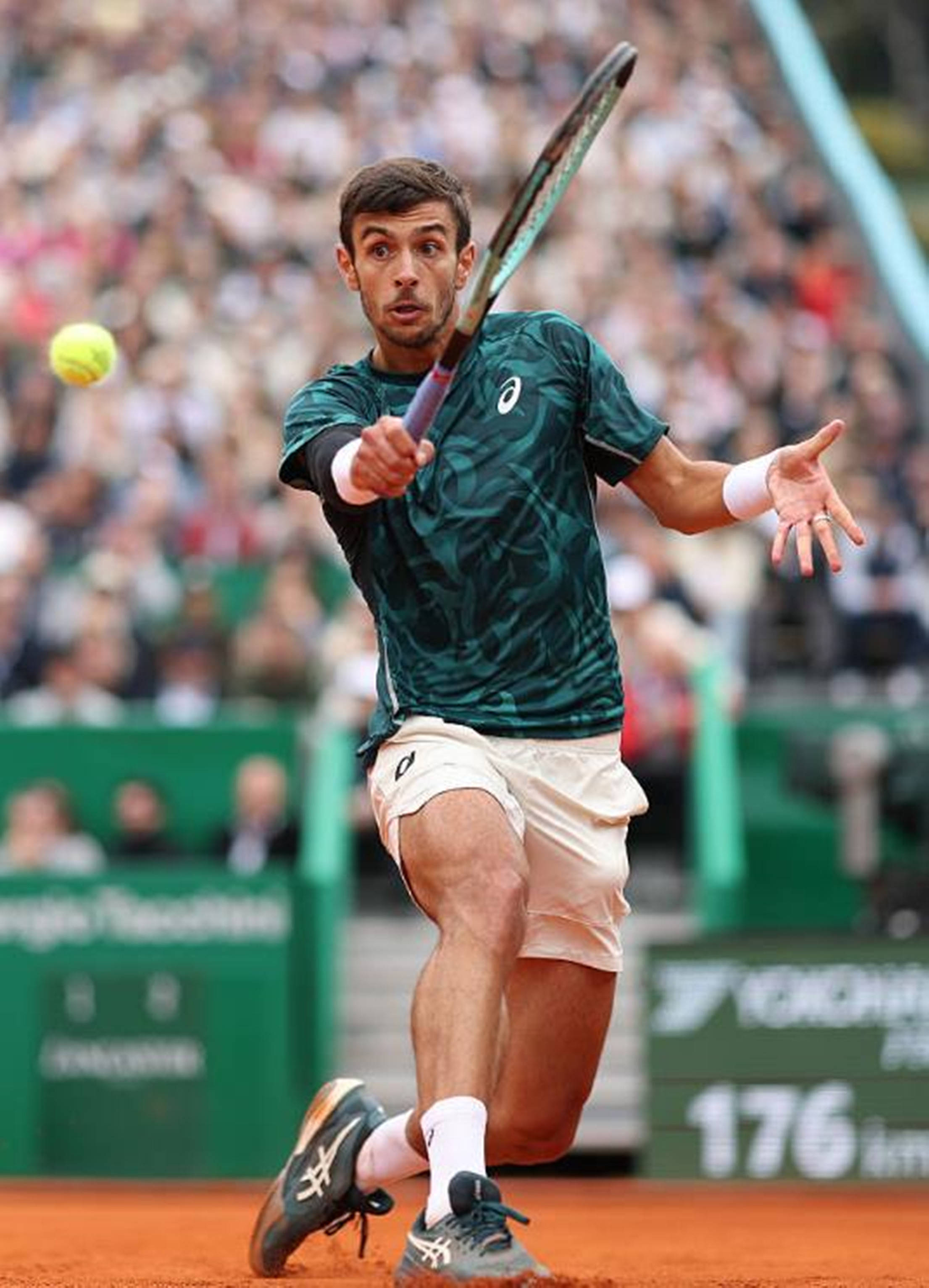 浓厚的家庭 浓厚的家庭